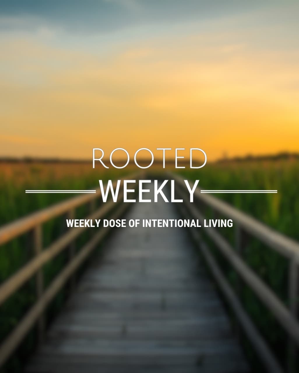 ROOTED Weekly - From Monks to Mastery: Lessons in Leadership